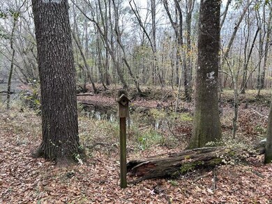 0 Parkers Ferry Rd, Ravenel, SC - photo 2