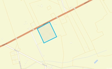 TBD Highway 76, Nichols, SC 29581 - photo 2