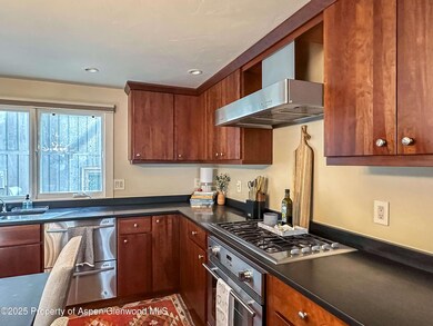 720 W Hopkins Ave unit D, Aspen, CO 81611 - photo 4