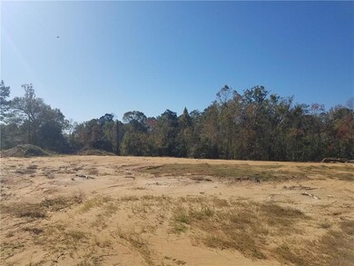 TBD Pinegrove Dr, Pineville, LA 71360 - photo 7