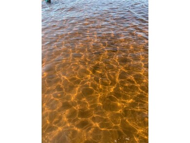sandbar