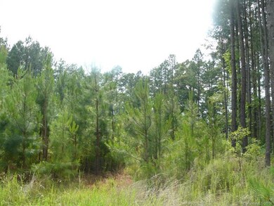 5 Outlook Dr, Iron Station, NC 28080 - photo 3