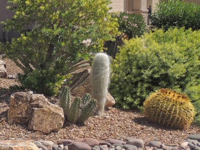 The Street Curb Appeal