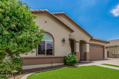 1149 W Beech Tree Ave, San Tan Valley, AZ 85140 - photo 6