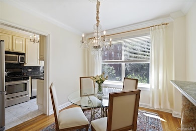 250 Bronxville Rd unit 2C, Bronxville, NY 10708 - photo 6