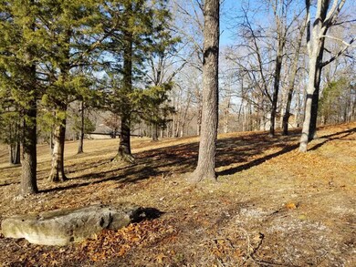 47 Canyon Forest Cir, Kimberling City, MO 65686 - photo 5