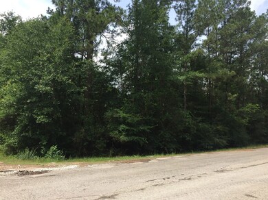 0 King Richards Ct unit 42822552, Hockley, TX 77447 - photo 7