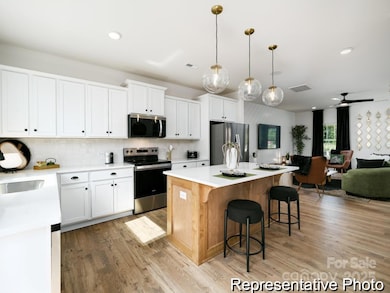 405 Drawbar Dr unit 131, Clover, SC 29710 - photo 2