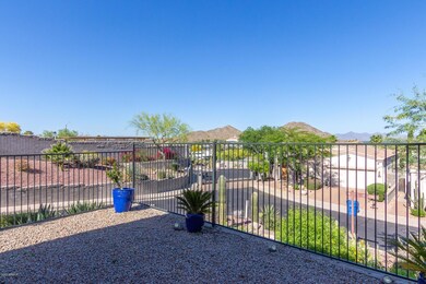 backyard looking toward gate