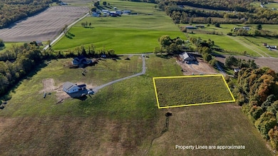 Lot2a