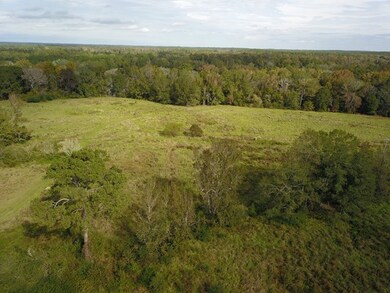 732 acre U S Highway 82, Eufaula, AL 36027 - photo 6