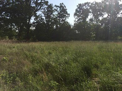 13539 Meadow Ridge, Fayetteville, AR 72704 - photo 2