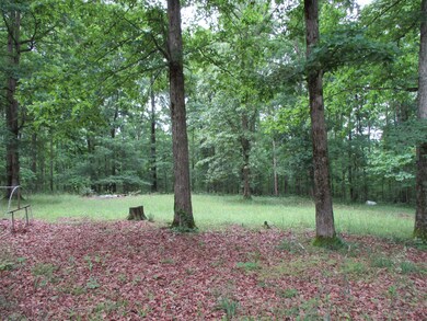 1112 Lecomte Rd, Dickson, TN 37055 - photo 4