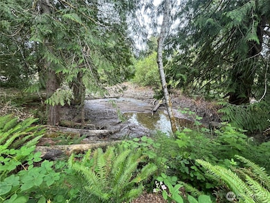 19401 Whiteman Cove Rd SW, Longbranch, WA 98351 - photo 7