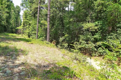 DSC02642 (2)