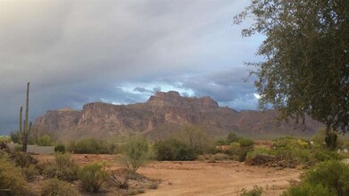 VIEW FROM DRIVEWAY!