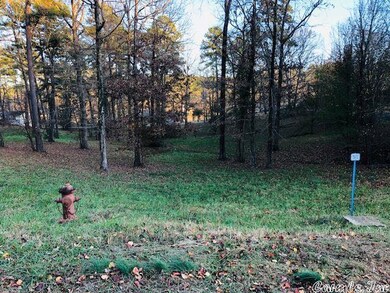 0 Lake Forest Shores, Hot Springs, AR 71913 - photo 3