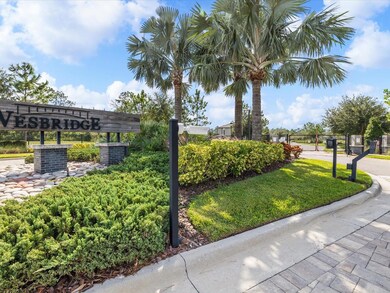 30415 Caravelle Ln, Wesley Chapel, FL 33545 - photo 5