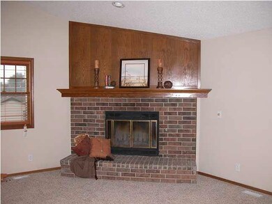 One of TWO brick, wood burning fireplaces with gas
