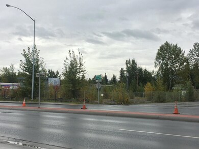 Corner of Muldoon Rd. and 3rd Ave.