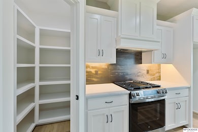 20126 U St, Omaha, NE 68135 - photo 5