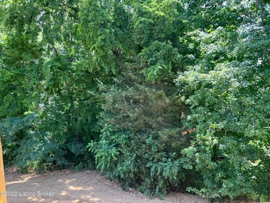 17706 Shakes Creek Treed Back