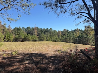 0 Backbone Church Rd unit 25581317, Gordo, AL 35466 - photo 7