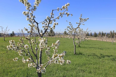 17323 N Lower Greenbluff Rd, Colbert, WA 99005 - photo 4