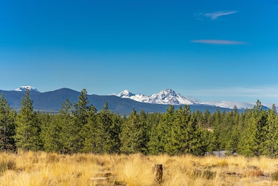 151-web-or-mls-Riley Visuals-1004