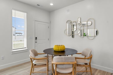 photo is of model home