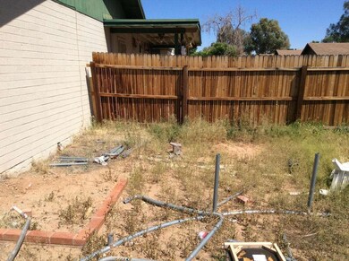 Backyard 3