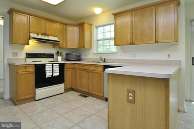 11204 Mintwood Ct, Fredericksburg, VA 22407 - photo 3