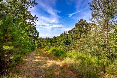 0 Porter Rd unit 25034698, Union Township, AR 72153 - photo 5