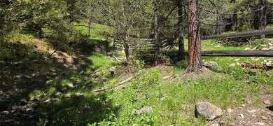 6 Tract Bull Elk, Drummond, MT 59832 - photo 4