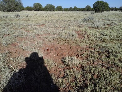 Lot 140 Juniperwood Ranch Unit 4, Ash Fork, AZ 86320 - photo 5