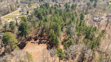 Aerial view with a view of trees