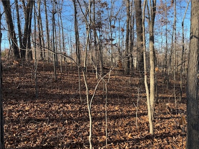 0 Egton Dr unit 1330074, Bella Vista, AR 72714 - photo 7