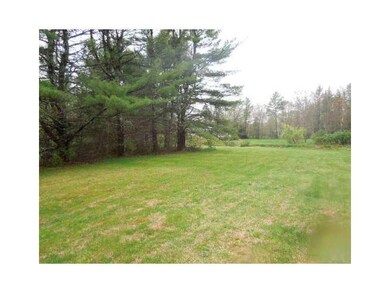 Yard/Garden.