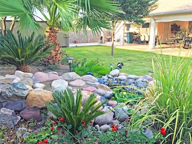 4 - BackYard