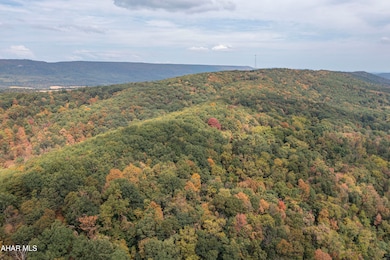 00 Pine Ridge Rd, James Creek, PA 16657 - photo 5