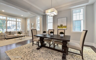 271 E 3rd St, Elmhurst, IL 60126 - photo 6