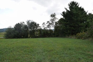DSC_0038 (800x533)