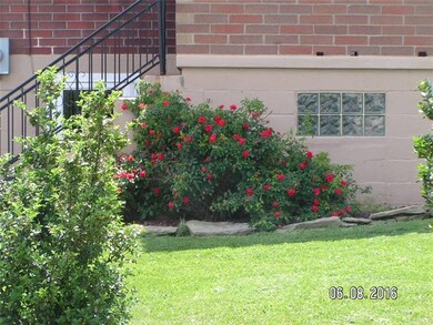 Enjoy summer time and spring time with these bloom