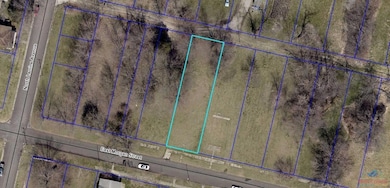 217 E Morgan St, Sedalia, MO 65301 - photo 3