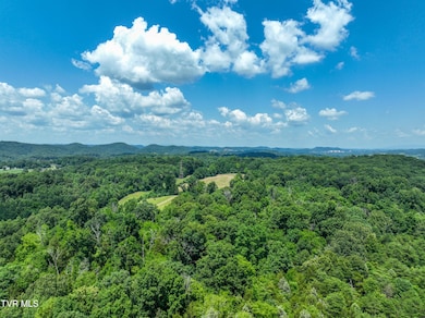 133 Acres Devault Bridge Rd, Piney Flats, TN 37686 - photo 6