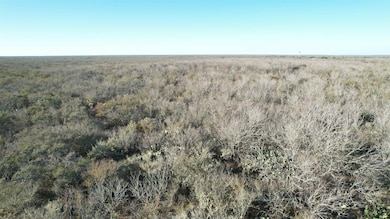 0 Fm 716 unit 20255320, Realtitos, TX 78376 - photo 7