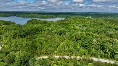 Drone / aerial view of a heavily wooded area and a large body of water