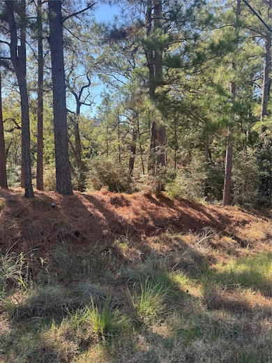 Lot 97 Kaelepulu Dr, Bastrop, TX 78602 - photo 2