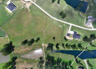 The Reserve County Road 912 unit Lot2, Cullman, AL 35055 - photo 5