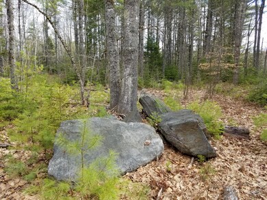 20170425_095031